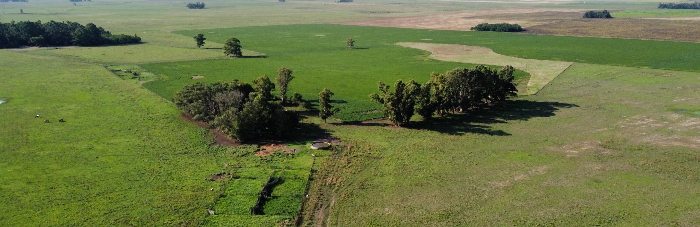 aerial view of a farm.