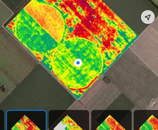 Maximizing the Value of Rural Lands: Our Approach at Minola Tierras Argentinas